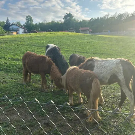 Relax House Banja Luka